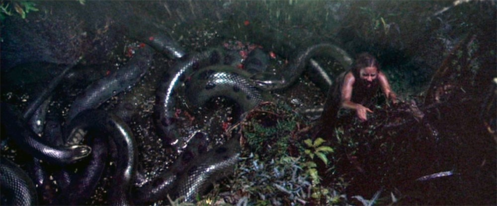 The 15 best snake movies of all time that you should enjoy