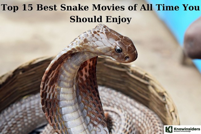Top 15 Best Snake Movies of All Time You Should Enjoy