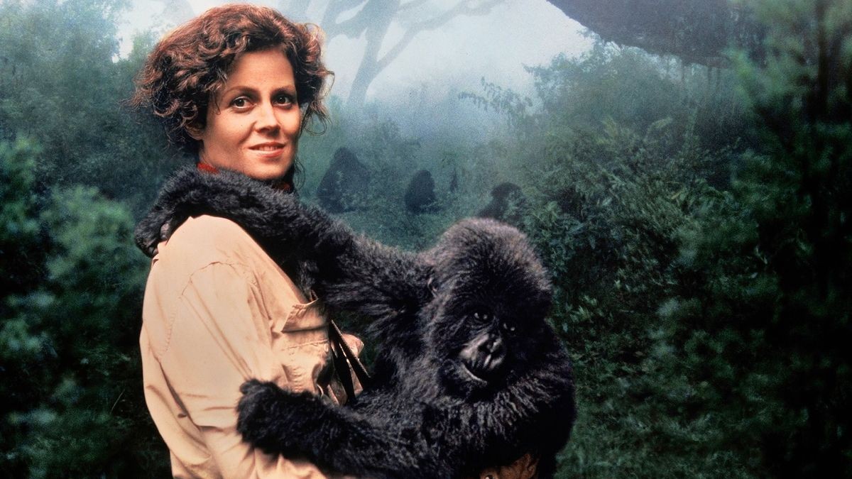 Top 13 Best Monkey Movies of All Time You Should Not Miss