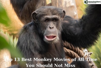 Top 13 Best Monkey Movies of All Time You Should Not Miss