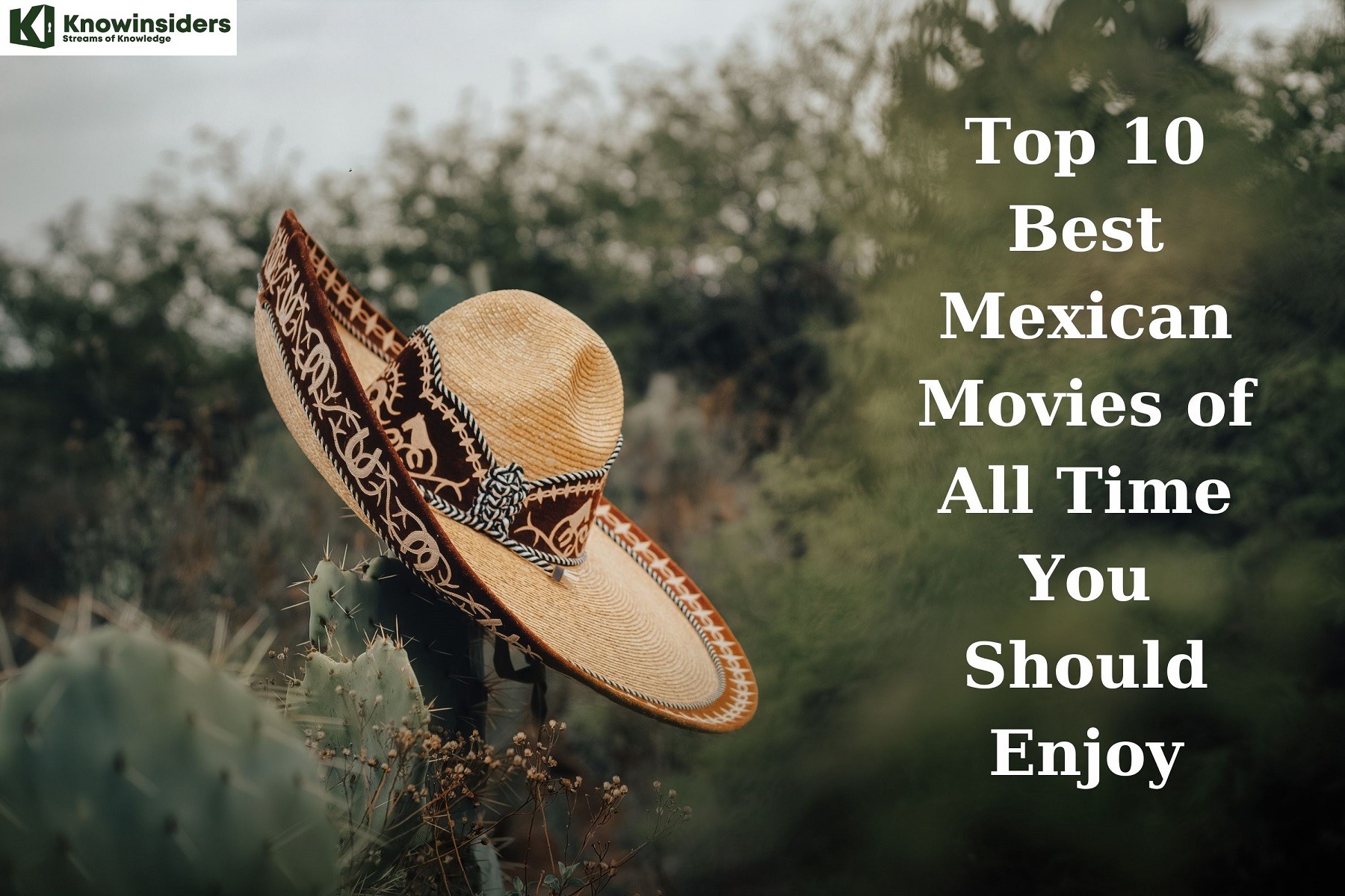 Top 10 Most Popular Mexican Movies of All Time You Should Enjoy