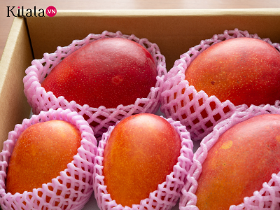 Les 10 fruits les plus chers du monde