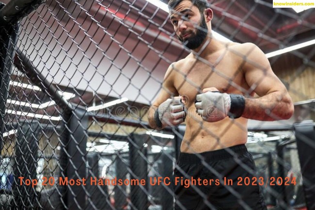 top 20 hottest ufc fighters in the world 20232024