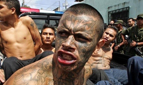 Top 10 Biggest and Most Dangerous Gangs in The World