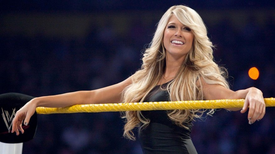Top 15 Hottest and Beautiful Female Wrestlers