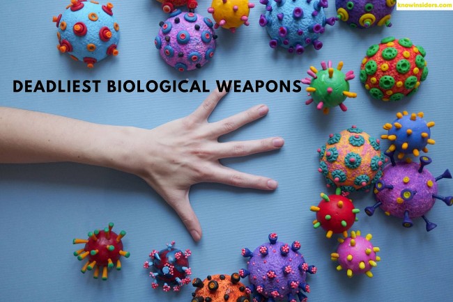 Top 10 Deadliest Biological Weapons In The World