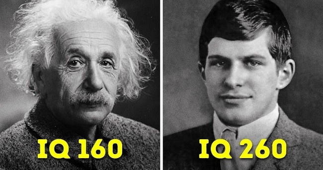 Top 5 People with the Highest IQ in the World of All Time