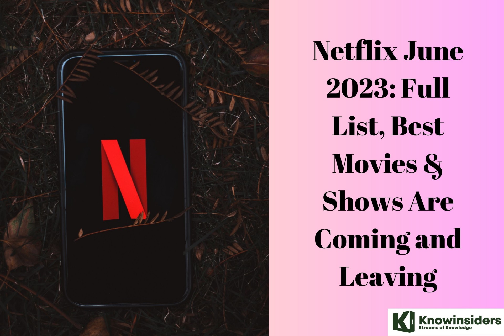 Netflix June 2023: Full List, Best Movies & Shows Are Coming and Leaving