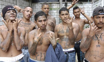 Top 10 Notorious Crime Gangs in the US Today