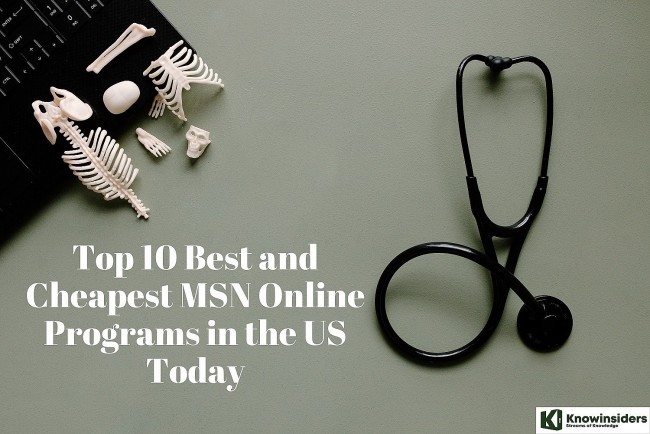 Top 10 Best and Cheapest MSN Online Programs in the US Today