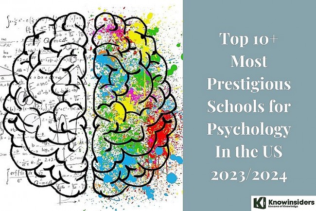 Top 10+ Most Prestigious Schools for Psychology In the US 2023/2024