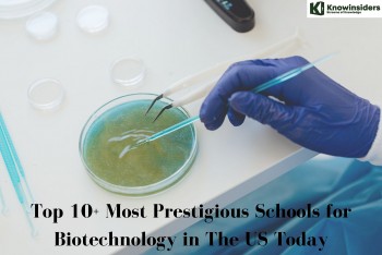 Top 10+ Most Prestigious Schools for Biotechnology in The US Today