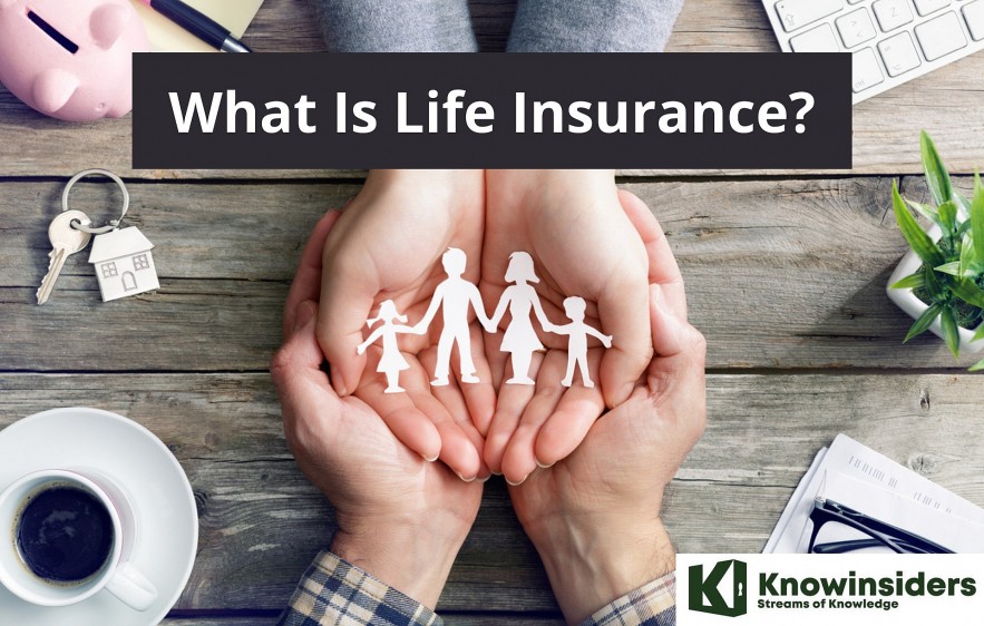 Life Insurance: Meaning, History, Types and Benefits