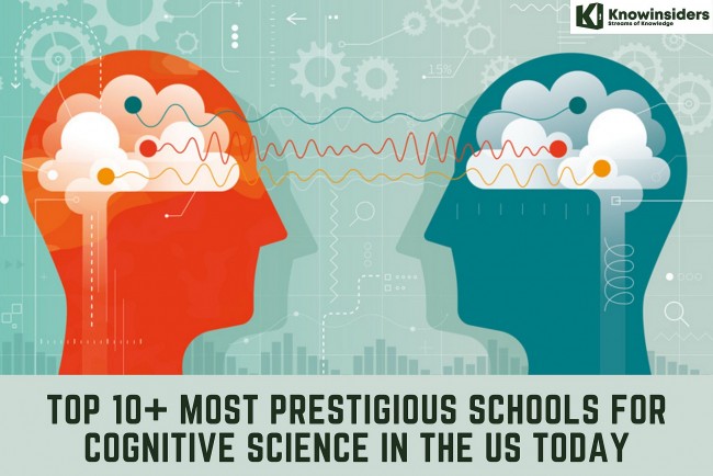 Top 10+ Most Prestigious Schools for Cognitive Science in The US Today