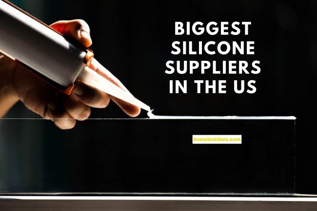 top 10 largest silicone suppliers by revenue in the us