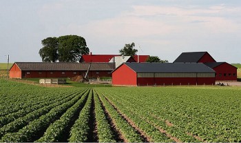 Top 10 Largest Farms & Farmland Owners in the US