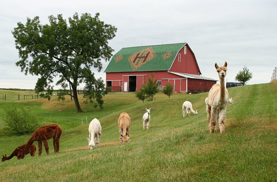 Top 10+ Most Beautiful Farms in the U.S