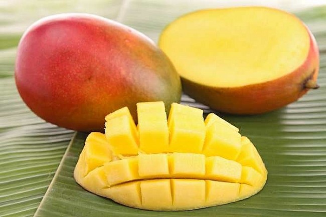 These 12 Countries Have the Biggest Mango Production of the World