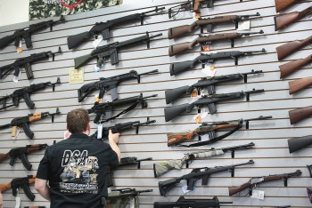 How Many Guns Do Americans Own?