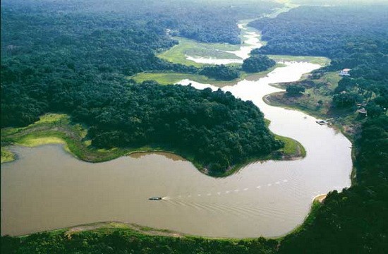 Amazon River