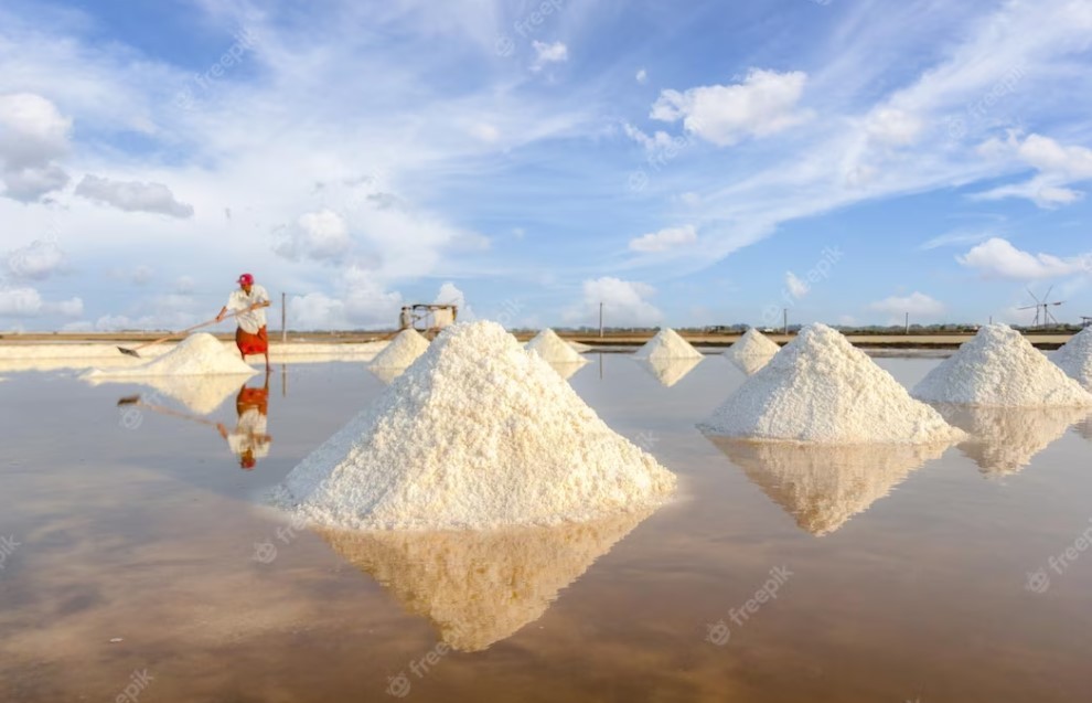 Top 10 - World Leading Countries in Salt Production/Export