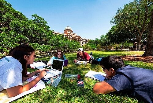 Top 10 Best Colleges for Agricultural Sciences in the U.S - 2025/2026 Ranking