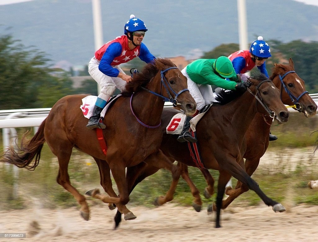 Cracking the Code: A Beginner's Guide to Betting on Horse Racing in India