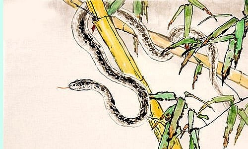 snake yearly chinese horoscope 2024 astrological prediction for love health career and finance