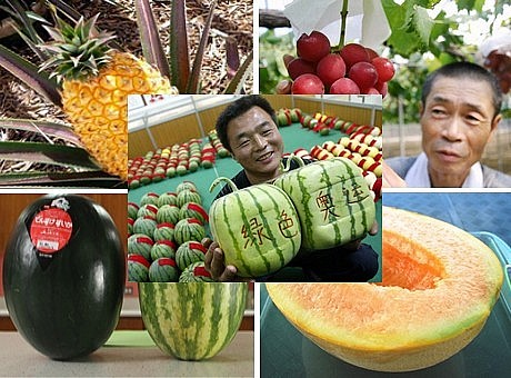 Top 9 Biggest Fruits You've Never Seen In The World