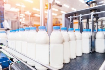 Top 10 Biggest Dairy Companies In Europe By Turnover