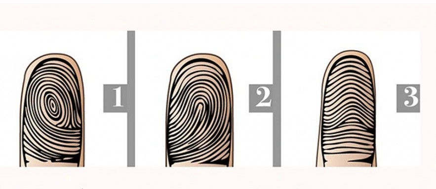 What Does the Shape of Fingerprint Reveal About Your Personality?