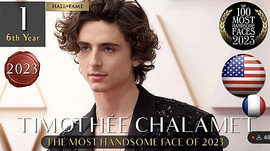 Timothée Chalamet was voted the most handsome male face in the world in 2023. Photo: TC