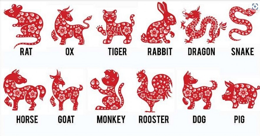 What Are Chinese Zodiac Signs: Meaning, Personality