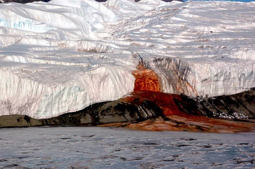 Blood Falls flows into Lake Bonney from the Taylor Glacier's terminus. Scientists believe the discoloration, which is a form of reduced iron, is caused in part by a buried saltwater reservoir.