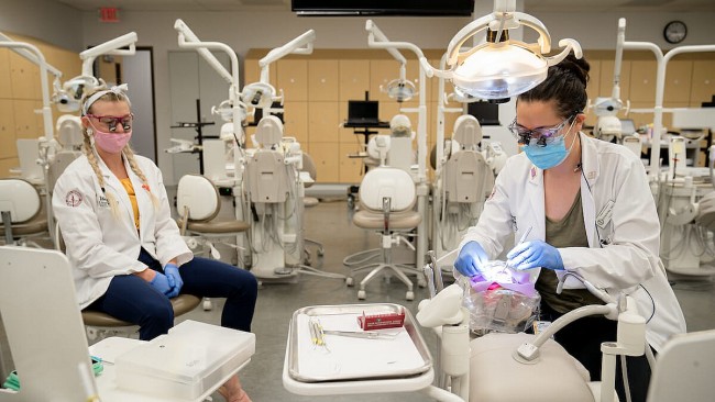 top 10 dental colleges with highest acceptance rate in the us