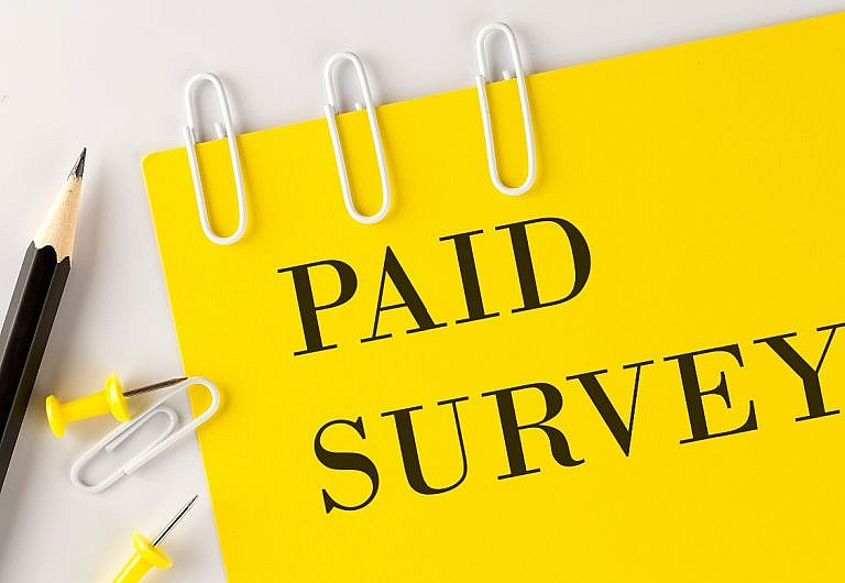 49 Best Paid Online Survey Sites in 2024 (up to $100 per Survey) - MoneyPantry