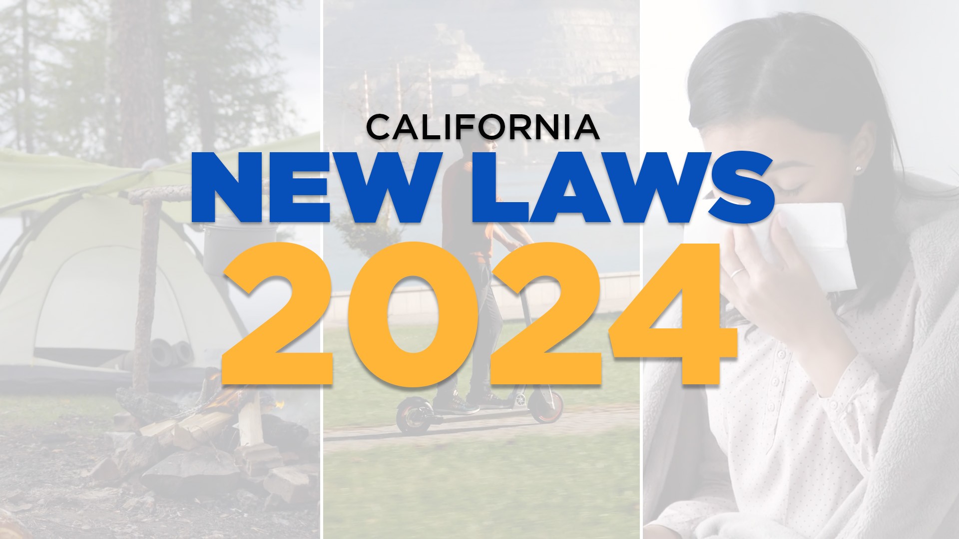 Top 9 Most Important New Laws Taking Effect In California 2024