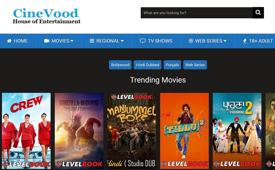 Top 18 Legal Sites to Download Marathi Movies: For Free, HD Quality