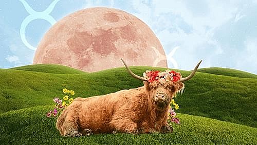 venus enters taurus april 29 may 23 new luck for the 12 zodiac signs