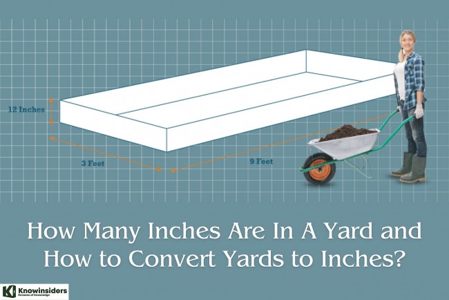 How Many Inches Are In A Yard and How to Convert Yards to Inches?