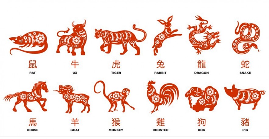 12 Chinese Zodiac Signs in June 2024 Horoscope: Forecast of Love, Career, Money and Health