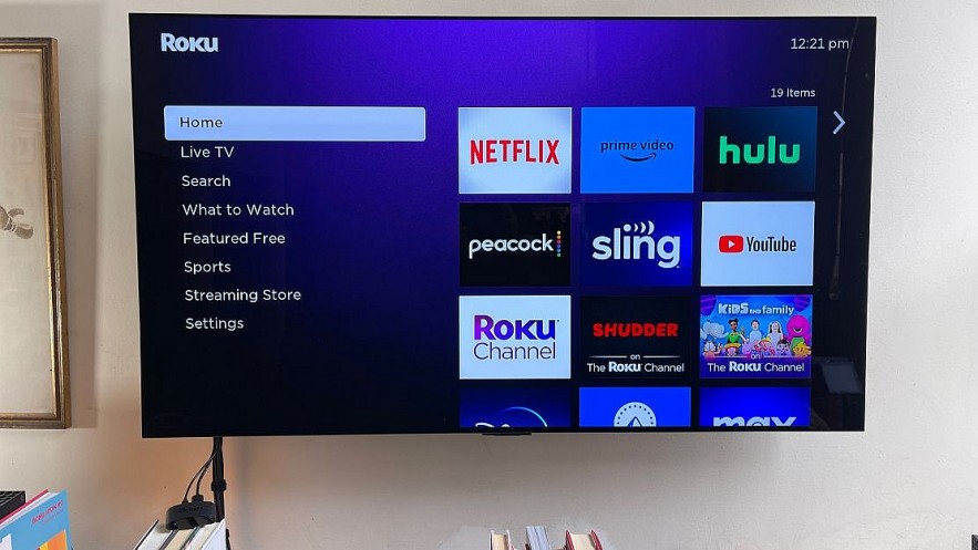 Top 12 Best Free Channels On Roku You Can Watch