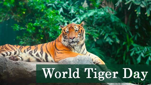 World Tiger Day