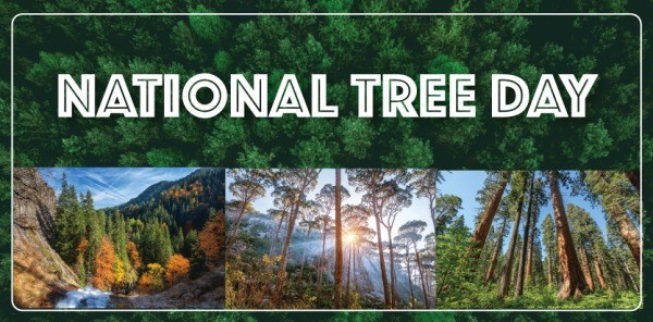 National Tree Day