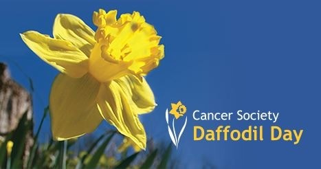 Daffodil Day (Cancer Council)