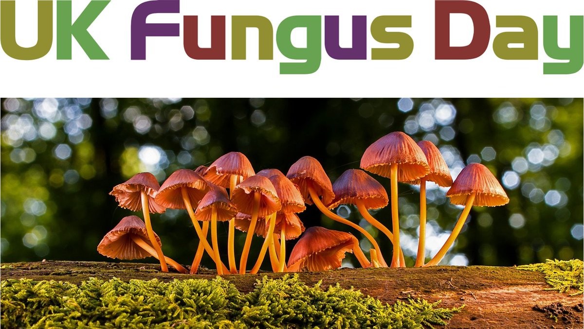 UK Fungus Day