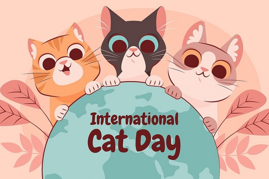 International Cat Day