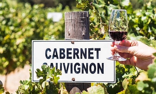 International Cabernet Sauvignon Day