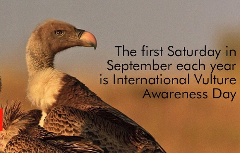 Vulture Awareness Day