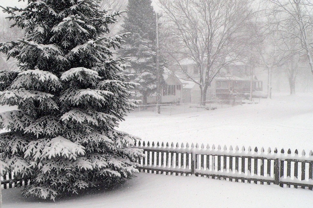 Thanksgiving Weekend Forecast: Rain, Snowfall and More